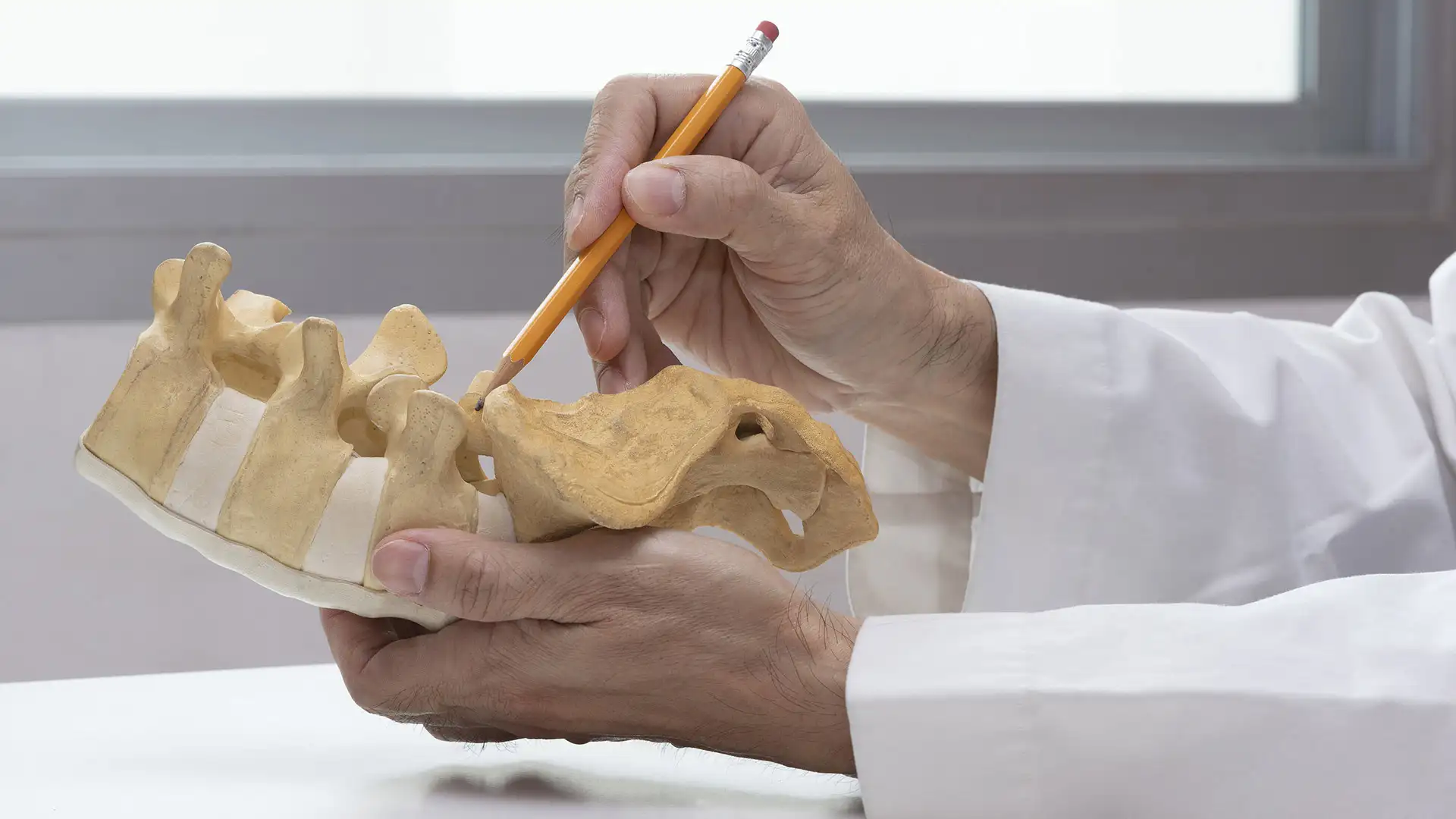 Doctor explaining lumbar spine anatomy with model