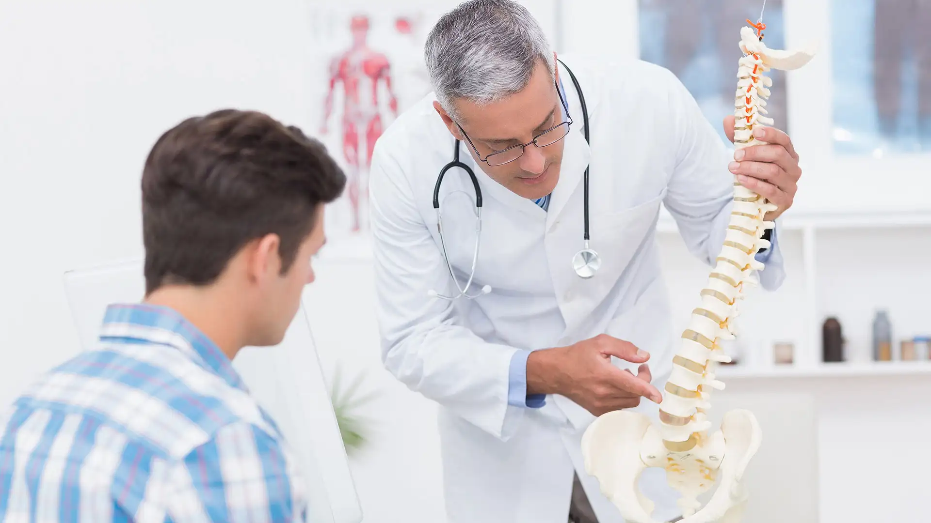 Doctor explaining spine model to patient in medical office